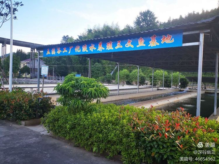 常德市度假村,鼎城區(qū)生態(tài)農(nóng)莊,鄉(xiāng)村旅游,農(nóng)家樂,冷水魚養(yǎng)殖