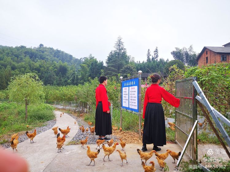 常德市度假村,鼎城區(qū)生態(tài)農(nóng)莊,鄉(xiāng)村旅游,農(nóng)家樂,冷水魚養(yǎng)殖 常德市度假村,鼎城區(qū)生態(tài)農(nóng)莊,鄉(xiāng)村旅游,農(nóng)家樂,冷水魚養(yǎng)殖