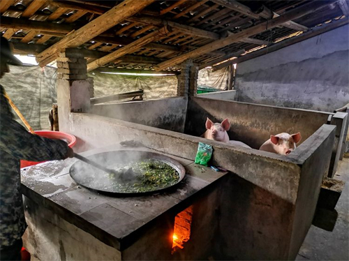 常德市度假村,鼎城區(qū)生態(tài)農莊,鄉(xiāng)村旅游,農家樂,冷水魚養(yǎng)殖